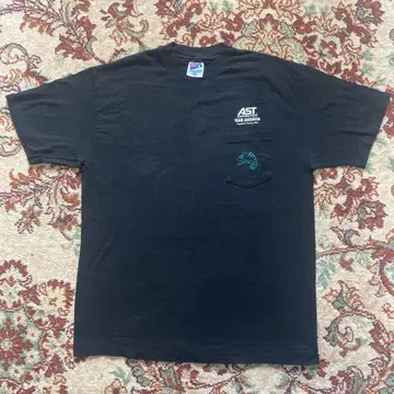 90s USA제 애니멀 헤인즈 싱글 스티치 구제 의류 T셔츠