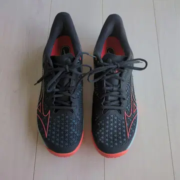 Mizuno WAVE EXCEED TOUR 5 테니스화 옴니 신발