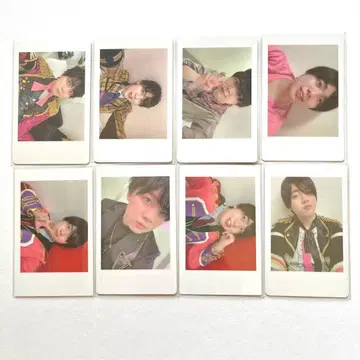 팬더드래곤 나기 하피카 파라곤