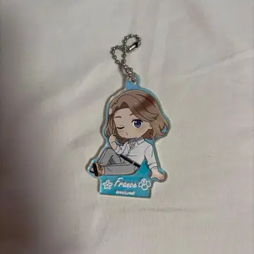 프랑스 헤타리아 World Stars 오로라 아크링 키링 컬렉션