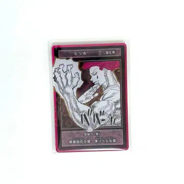 HUNTER x HUNTER 헌터헌터 히소카 스탯 카드