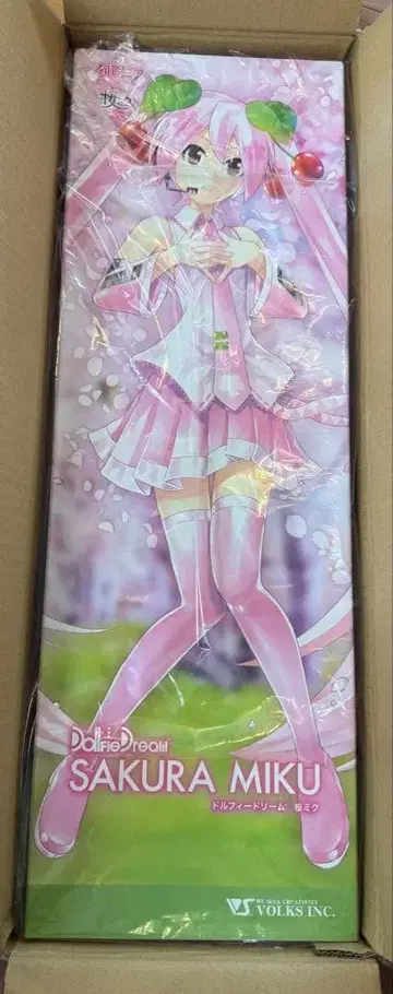 돌피드림 벚꽃미쿠 DD 돌파 한정판 SAKURA MIKU