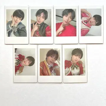 팬더드래곤 팟치 하피카 파라곤