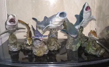 상어 피규어 세트 7체 생물대도감