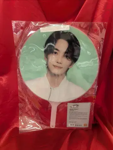 세븐틴 2024 팔로우 어게인 투 재팬 정한 이미지 피켓