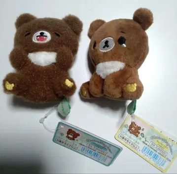 곰큥days 차이로이코구마 손바닥 봉제 인형 2종 세트