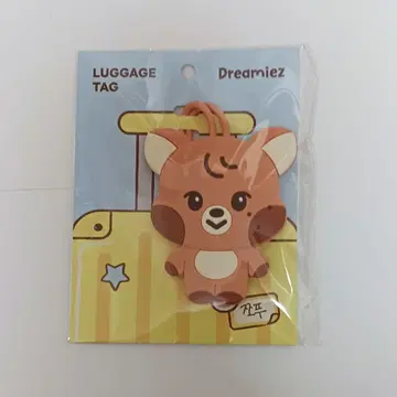 NCT DREAM 팝업 수하물 택 해찬