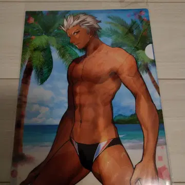 Fate 블랙 스위머 클리어 파일