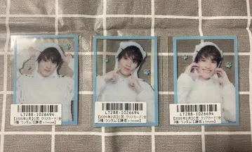 우에무라 켄신 KENSHIN 고양이의 날 스크래치 키라리