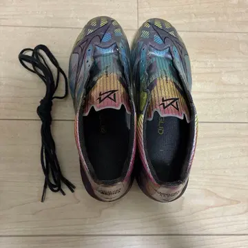 미즈노 알파 2 재팬
