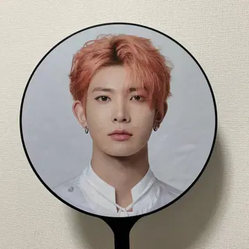 HEESEUNG 부채
