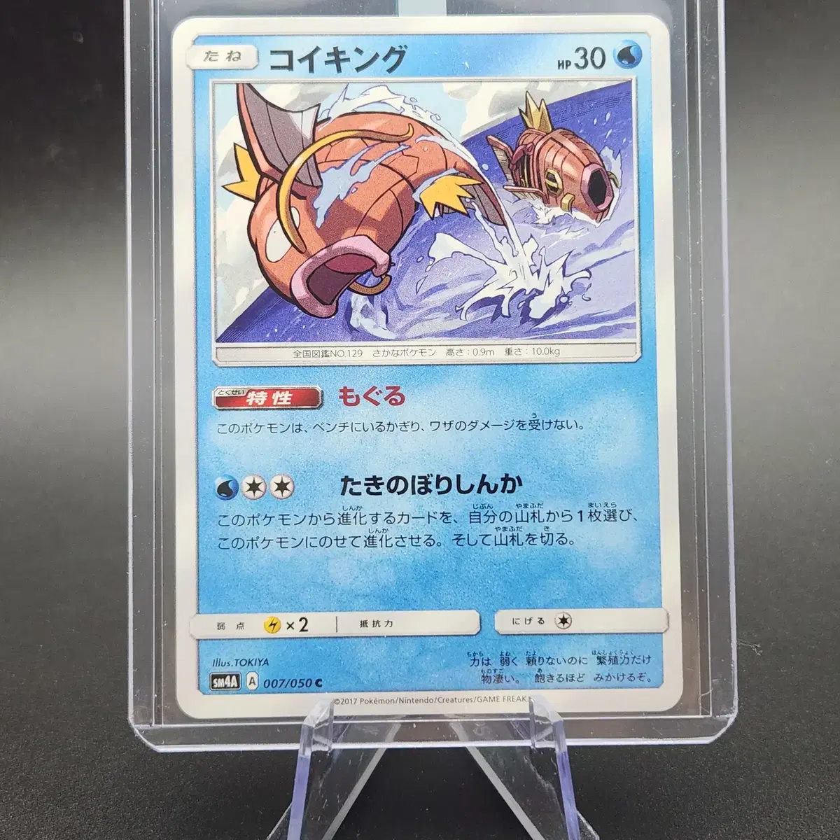 pokemon xy gold trainer card Magikarp & Wailord GX (SM166) [Sun & Moon: Black Star Promos] main image 0