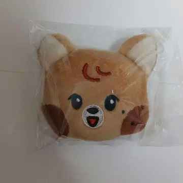 NCT DREAM 팝업 인형 배지 해찬