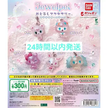 주얼펫 메지루시 액세서리 컴플리트