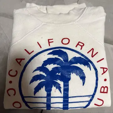 Hanes 헤인즈 맨투맨 래글런 80s