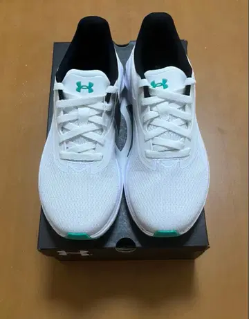 언더 아머 러닝화