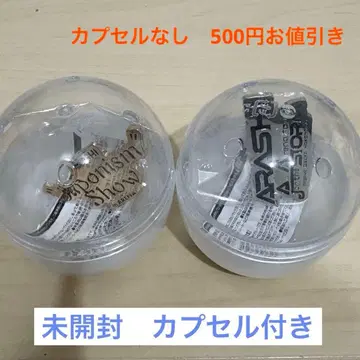 아라시 투어 로고 마그넷 2026 Japonism storm