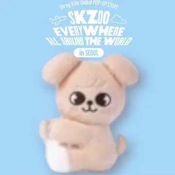 스키즈 한국 팝업 에브리웨어 퍼핌 스트랩 승민