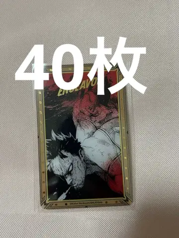 히로아카전 원화전 금박 클리어 카드 엔데버 40장