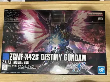 mg 데스티니 HG 1/144 DESTINY GUNDAM 세트