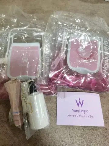 원정요 캡슐 토이