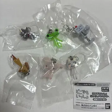 도코데모 잇쇼 메지루시 액세서리 컴플리트 세트