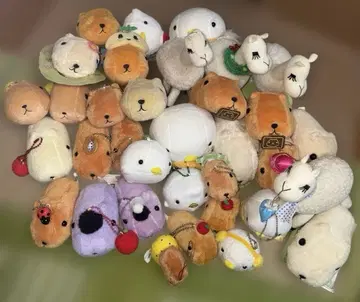 카피바라 씨 봉제 인형 마스코트 30체 이상 세트 화이트 씨