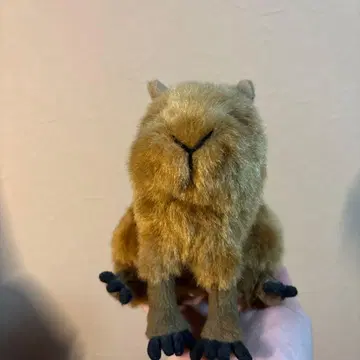 브라운색 소형 동물 봉제 인형 (카피바라)