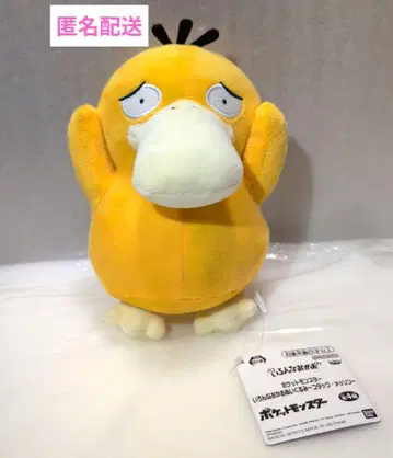 포켓몬스터 여러 가지 얼굴 봉제 인형 코닥 곤란한 얼굴