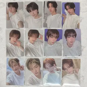 TWS play hard compact ver. 트레이딩 카드