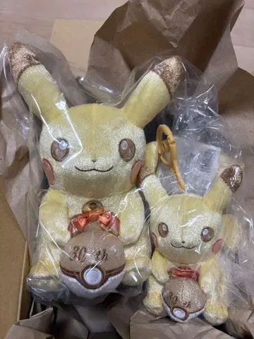 포켓몬 30주년 기념 봉제 인형 마스코트 피카피카! 피카츄 2세트