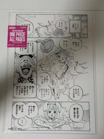 원피스 베이스 샵 올 페이지 나미 캐럿