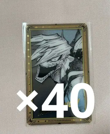 히로아카전 원화전 금박 클리어 카드 쇼지 메조 40장