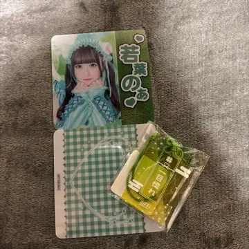 iLife 와카바노아 세트