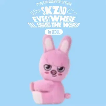 스키즈 한국 팝업 에브리웨어 돼끼 스트랩 창빈