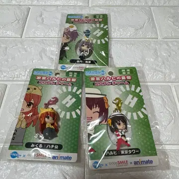 스즈미야 하루히의 우울 코스프레 참 관동 한정판