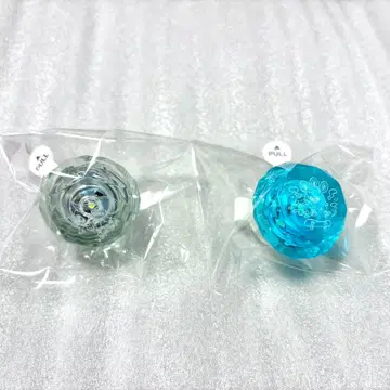 파라라이 도푸쇼 2024 린 라이 카나타 나유타 cozmez