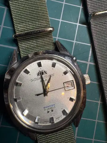 달력 오토 오리엔트 AAA swimmer 21석