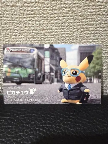 피카츄 먼슬리 명함풍 카드