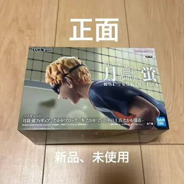 하이큐!! 카라스노 고교 츠키시마 케이 피규어