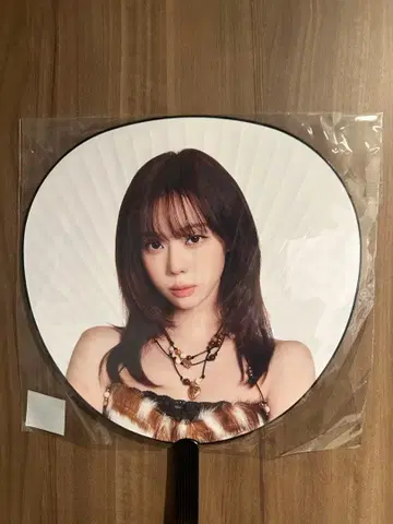 aespa 돔 투어 부채 윈터