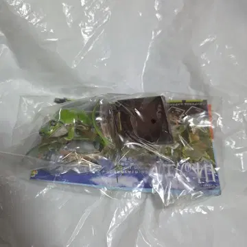 일본청개구리 네이처 테크니컬러 일본의 개구리