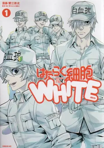 코단샤 시리우스KC 카니에 테츠시 !!) 일하는 세포 WHITE 1