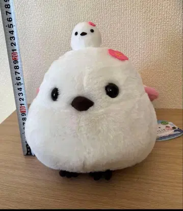 복복 시마에나가 경사스러운 일본 JB 매실 오야코시마에