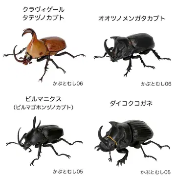 생물대도감 클라비게르 오오츠노멘가타 버마니쿠스 다이코쿠코가네