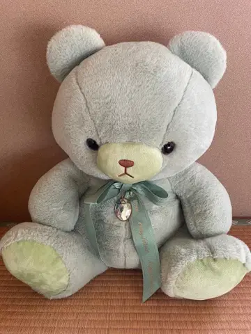 그린 곰 봉제 인형