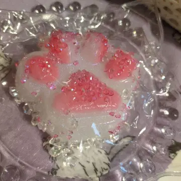 키라키라 선생님 스퀴즈 편광 펄