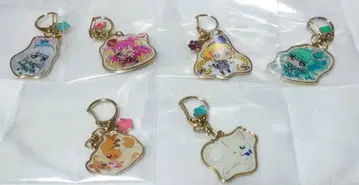 원더풀 프리큐어! 드림 스테이지 메탈 키링 전 6종 세트