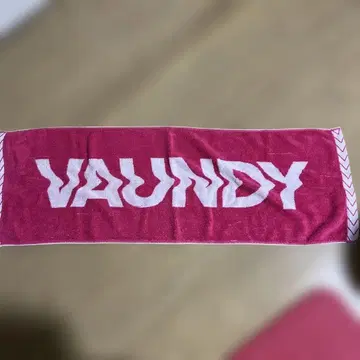 VAUNDY 타월