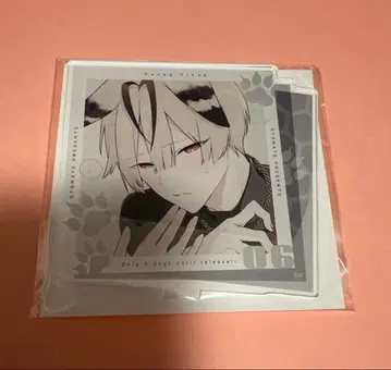 하니브 아크릴 스탠드 테오